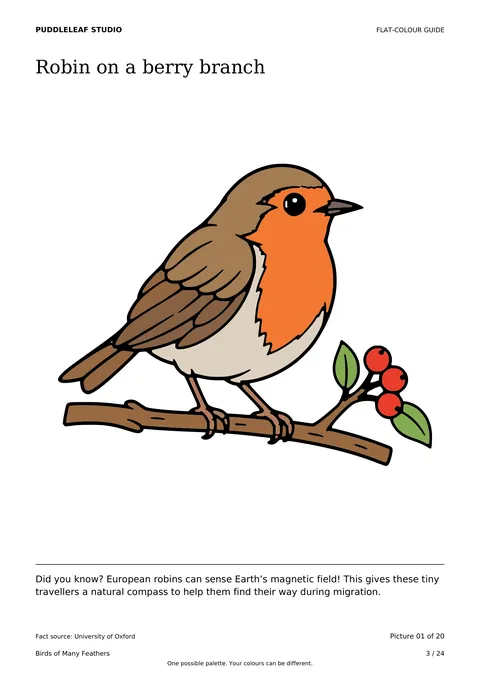 Robin on a berry branch matching colour guide page