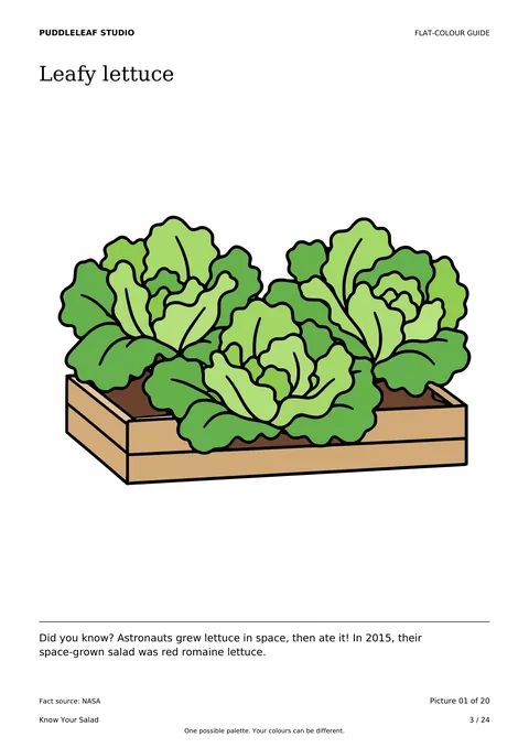 Leafy lettuce matching colour guide page