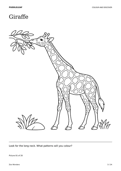 Giraffe outline colouring page