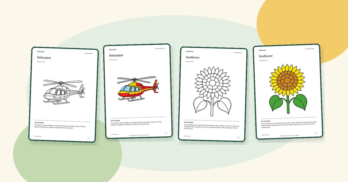 Real Puddleleaf pages: a helicopter outline with its matching colour guide, and a sunflower outline with its matching colour guide