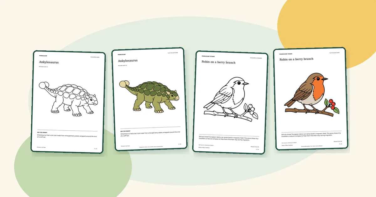 Real Puddleleaf pages: an Ankylosaurus outline beside its colour guide, and a robin outline beside its colour guide
