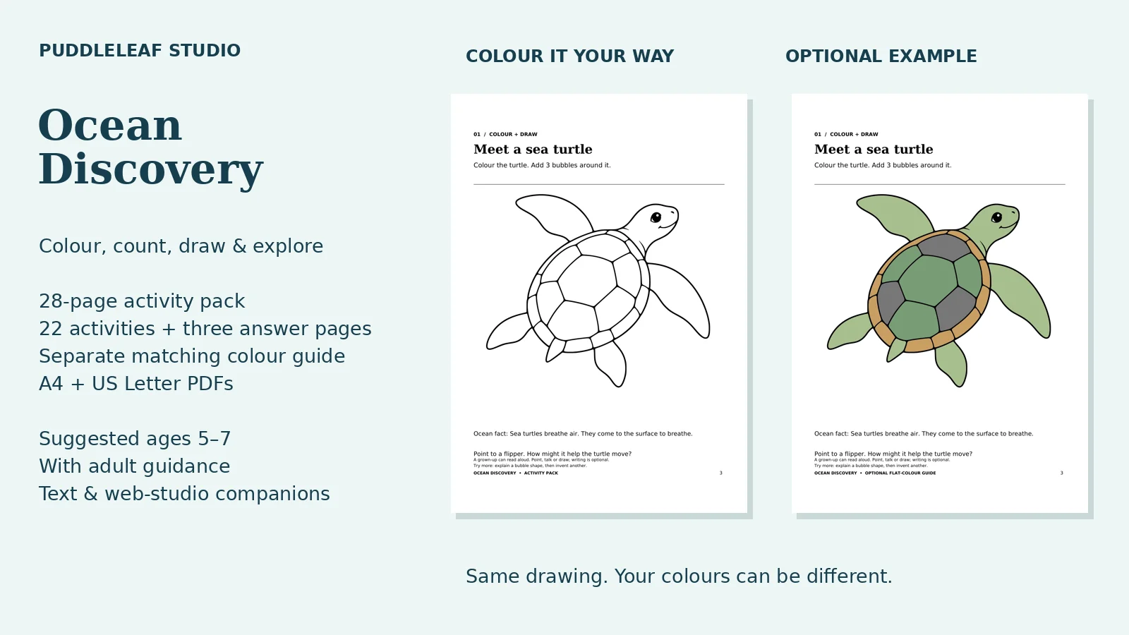 Ocean Discovery: actual book artwork and page previews