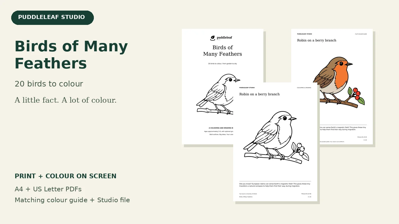 Birds of Many Feathers: actual book artwork and page previews