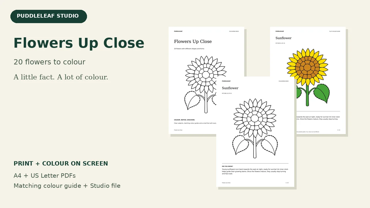 Flowers Up Close: actual book artwork and page previews