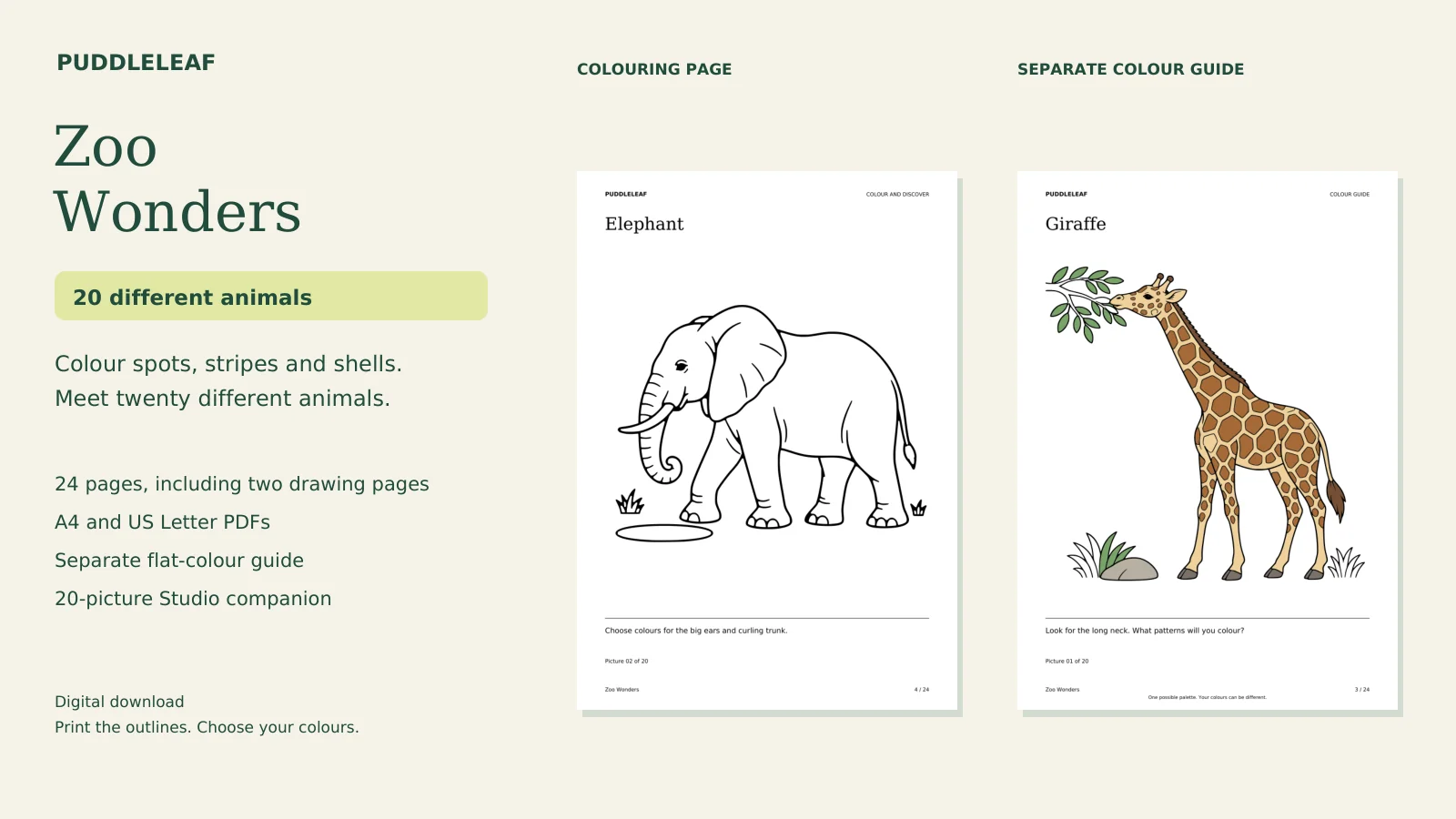 Zoo Wonders: actual book artwork and page previews