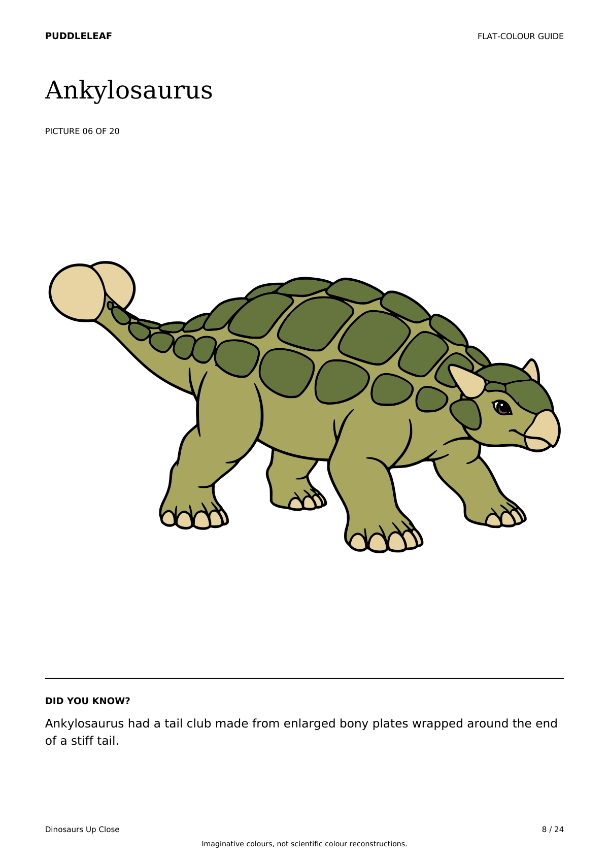 Dinosaurs Up Close: The matching optional colour example